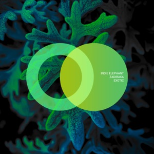 Exotic - Single