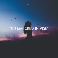 Nu Mai Cred In Vise - Single - FXL