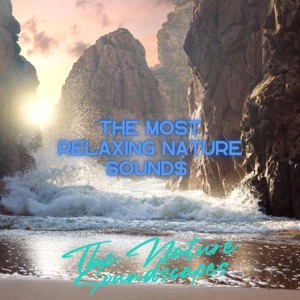 The Most Relaxing Nature Sounds