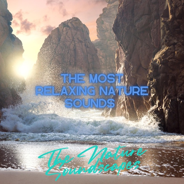 The Most Relaxing Nature Sounds