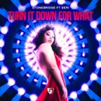 Turn It Down for What (feat. Seri)