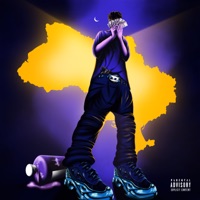 $eXnTripping in Ukraine - Single - Packlord