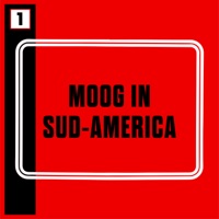 Moog in Sud-America - Giampiero Boneschi