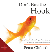 Don't Bite the Hook: Finding Freedom from Anger, Resentment, and Other Destructive Emotions (Unabridged)