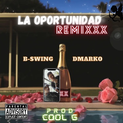 La Oportunidad (feat. B-swing) [Remix] - Single