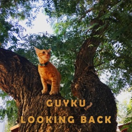 Looking Back Guyku