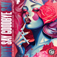 Say Goodbye - Single - Cence Brothers