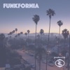 Funkfornia (Radio Edit) [Radio Edit]