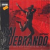 Vai Quebrando (Desce Que Desce) [feat. DJ Seduty] - Single