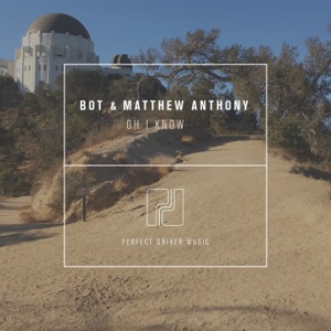Oh I Know - Single