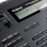 Pull out My Name (R-8 Drum Mix) - Single - Paleface Junkies