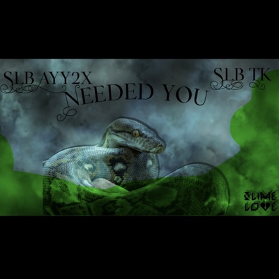 Needed You (feat. SLB TK) - Single