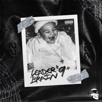 9 - Leaderbrain