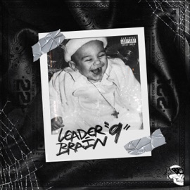 Night Life Leaderbrain