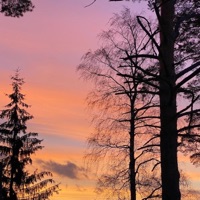 Kuolinsyyntutkija - Single - Vav Project