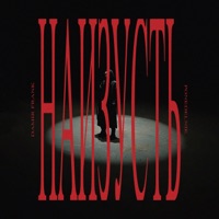 Наизусть (feat. PONEDELNIK) - Single - DAMIR FRANK