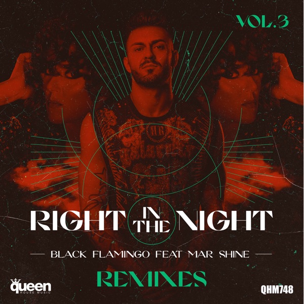 Right in the Night, Vol. 3 (The Remixes) [feat. Mar Shine] - EP
