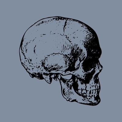 TOTENKOPF 2 (feat. Highrowglyphfix, Rogue Cypher & rxbel_504) - Single