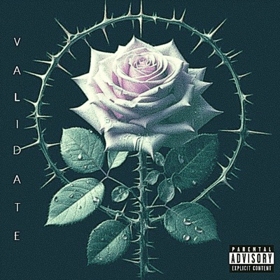 validate (feat. KRU) - Single