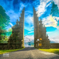 Next Level - ShaunGoBrazy