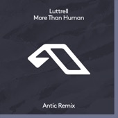 More Than Human (Antic Extended Mix) artwork