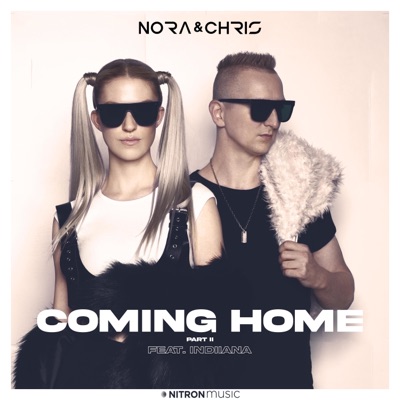 Coming Home (Part II) [feat. Indiiana] - Single