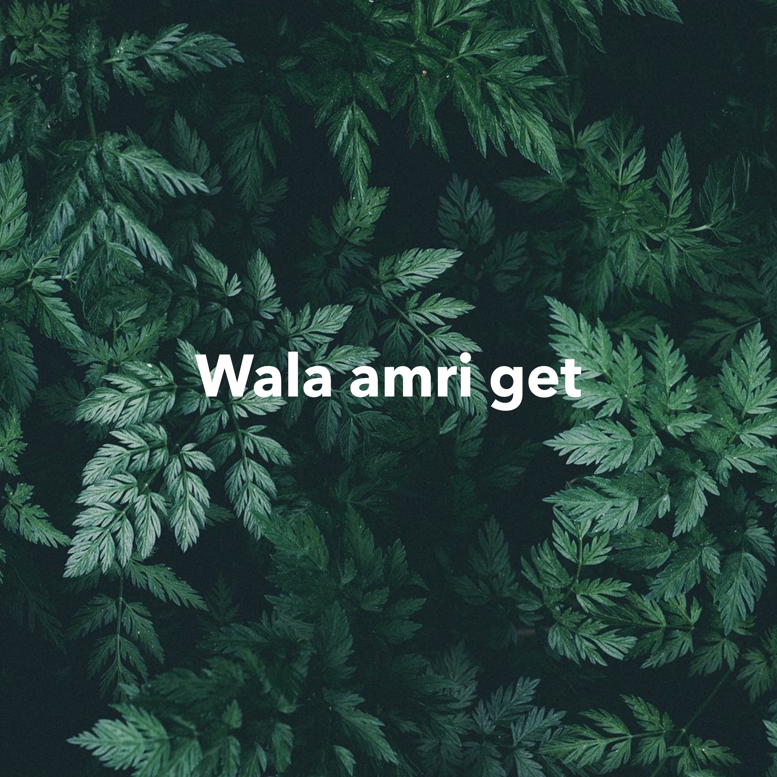 Wala amri get - Single