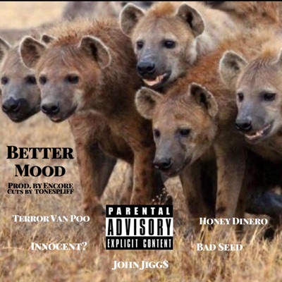 Better Mood - Single