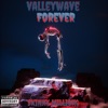 ValleyWave4Ever - Single