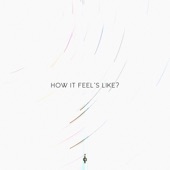 How It Feel's Like? artwork
