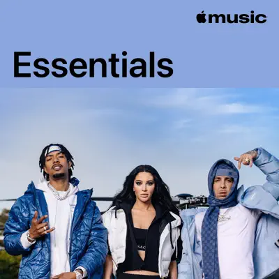 N-Dubz Essentials