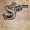 Steeleye Span - The King