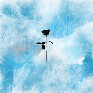 Hidden Peak - Single