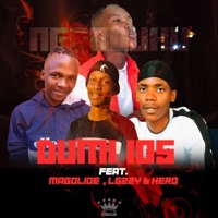 NgeNduku (feat. Magolide, Lgzzy & Heroo) - Single - Dumi 105