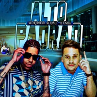 Alto Padrão - Single - mc alan ld, Chiquinho Ch & DJ Tonzera