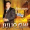 Llegaste tu - Julio Elias & Grupo Transfiguración lyrics