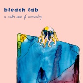 Bleach Lab - All Night