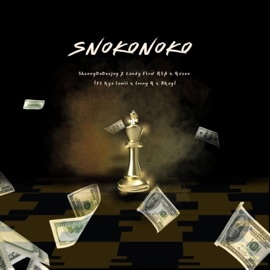 Snokonoko (feat. Candy Flow RSA, Kya lamii, Loony Q & Bkay) Qveen & ShennyDaDeejay