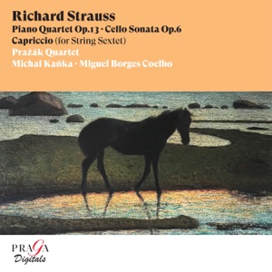 Piano Quartet in C Minor, Op. 13: II. Presto - Molto meno mosso - Tempo I