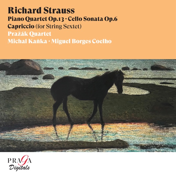 Richard Strauss: Piano Quartet, Cello Sonata, Capriccio (String Sextet)