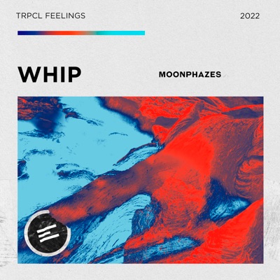 Whip - Single