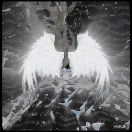 Take Me Home Maikubi & VOLT VISION