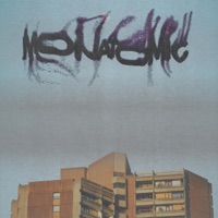 Monatomic - Single - Learbvicks