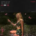Stay