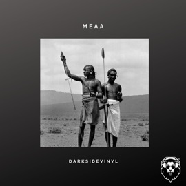 Meaa Darksidevinyl