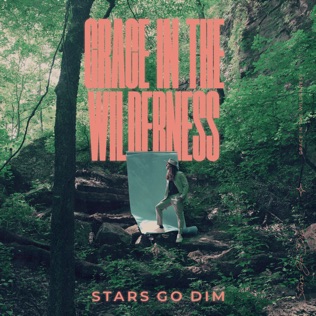 Stars Go Dim Grace In The Wilderness