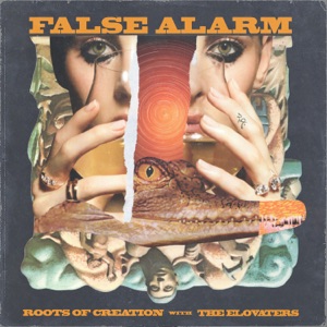 Guiding Light (with Arise Roots) (feat. Karim Israel)