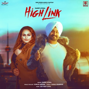 High Link (feat. Gurlej Akhtar)