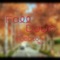 Fall Down - Jaoto lyrics