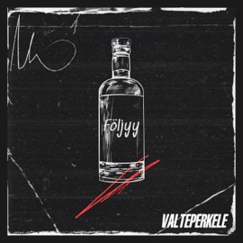 Följyy ValtePerkele & Miika